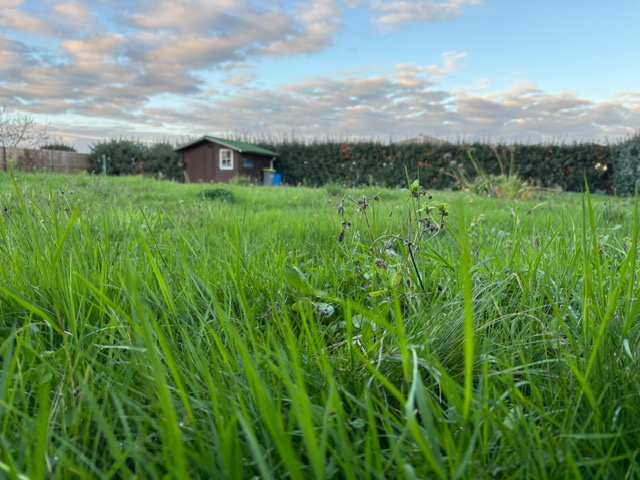 Terrain Talmont st hilaire
