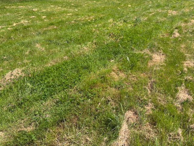 Terrain Talmont st hilaire