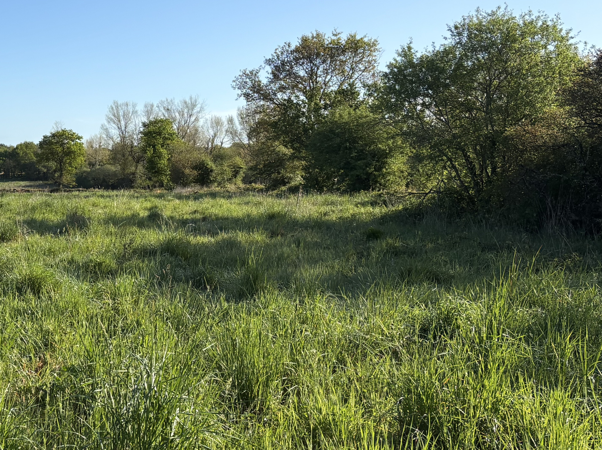 Terrain Talmont st hilaire