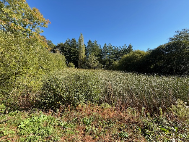 Terrain Talmont st hilaire — photo 2
