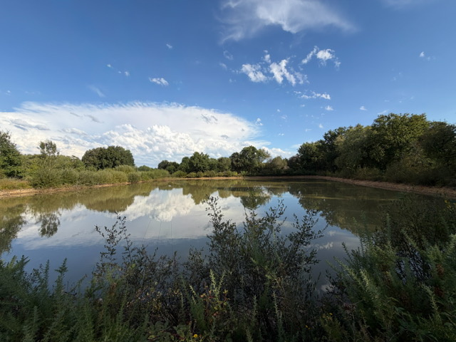 À VENDRE   PLAN D’EAU AVEC TERRAIN DE 2,65 HECTARES   À PROXIMITÉ DE L’OCÉAN ET D’UN LAC