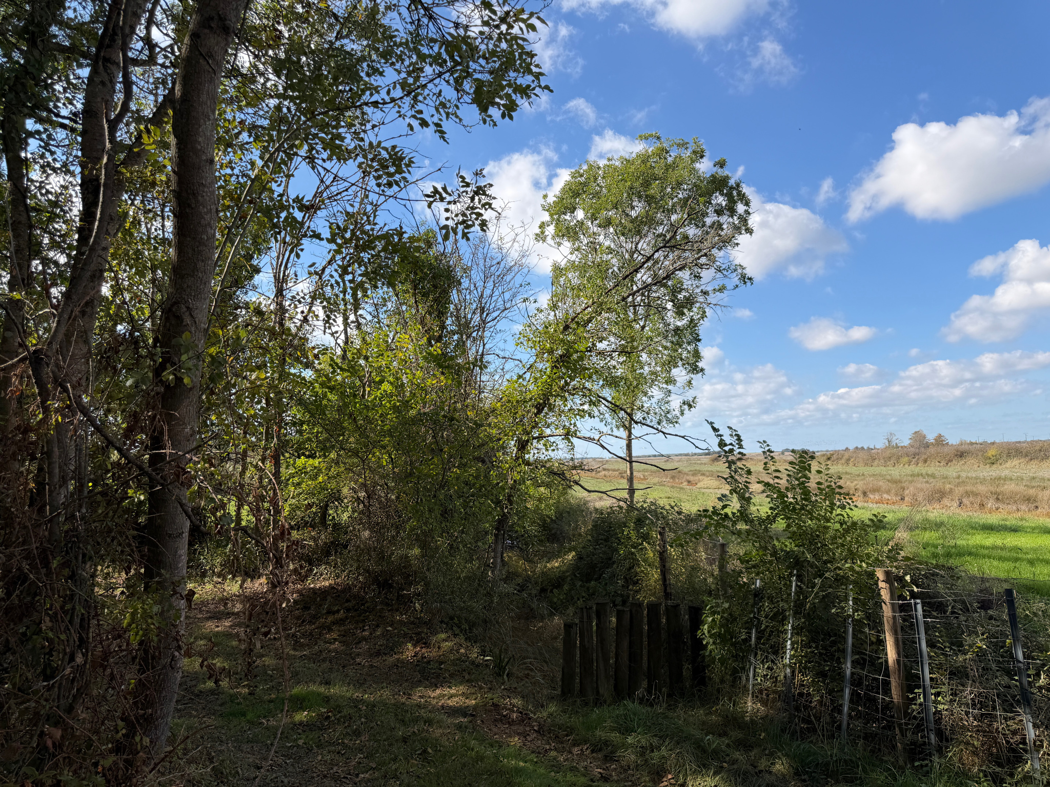 JARD-SUR-MER   GRAND TERRAIN EN ZONE NATURELLE DE 4 600 M2 AVEC VUE SUR LES MARAIS