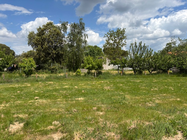 Terrain Talmont st hilaire