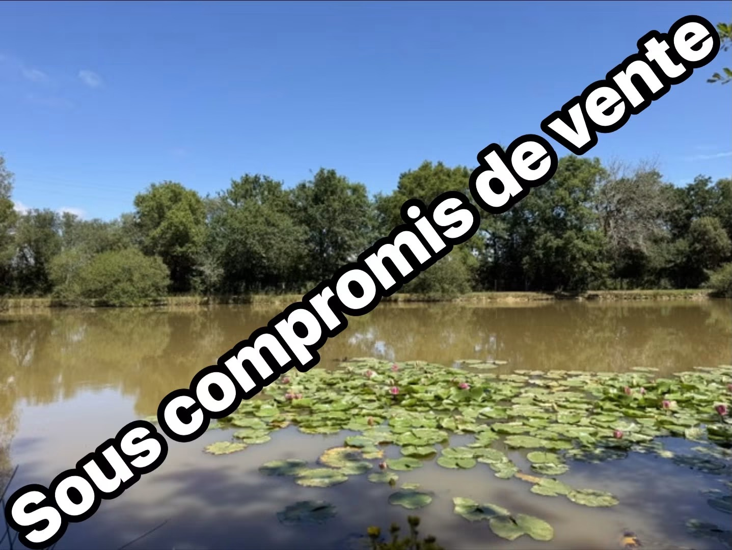 Plan d'eau avec chalet sur un terrain d'environ 5290 m2