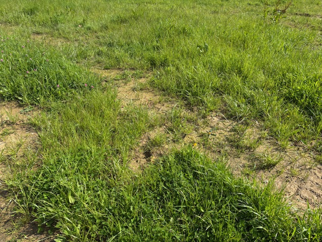 Terrain Talmont st hilaire — photo 2