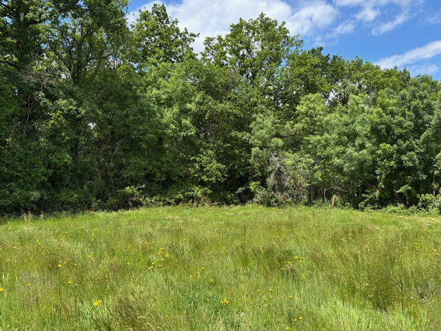 Terrain à bâtir de 509 m2
