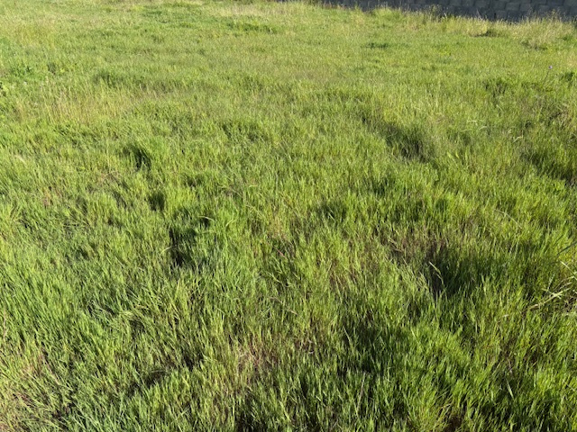 Terrain Talmont st hilaire